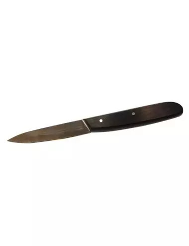 VICTORINOX PARING KNIFE