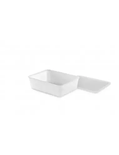 CARTY BOX - PLASTIC CONTAINER - 1100 mL