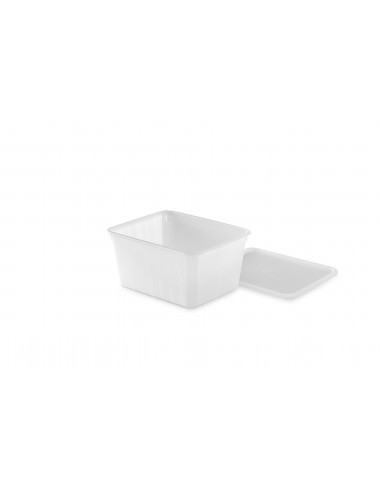 CARTY BOX - PLASTIC CONTAINER - 1150 mL