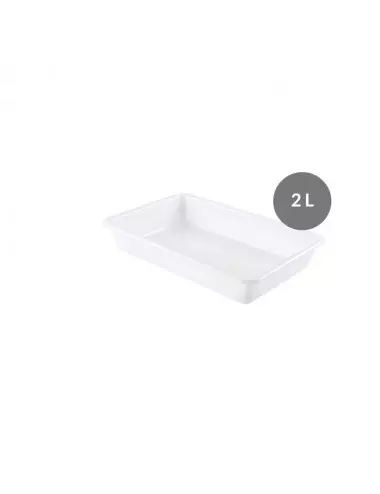 FLAT TRAY - 2 L