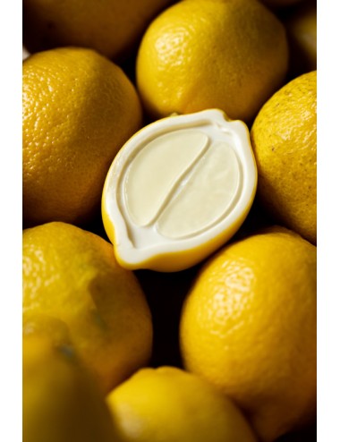 FOO'D 300*175 - HALF LEMON