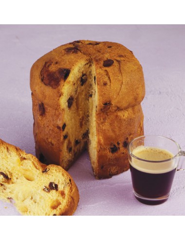 MOULE PANETTONE